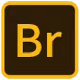 Adobe Bridge（Br ) 文件浏览器